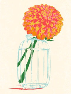 Dahlia — Newport RI Print